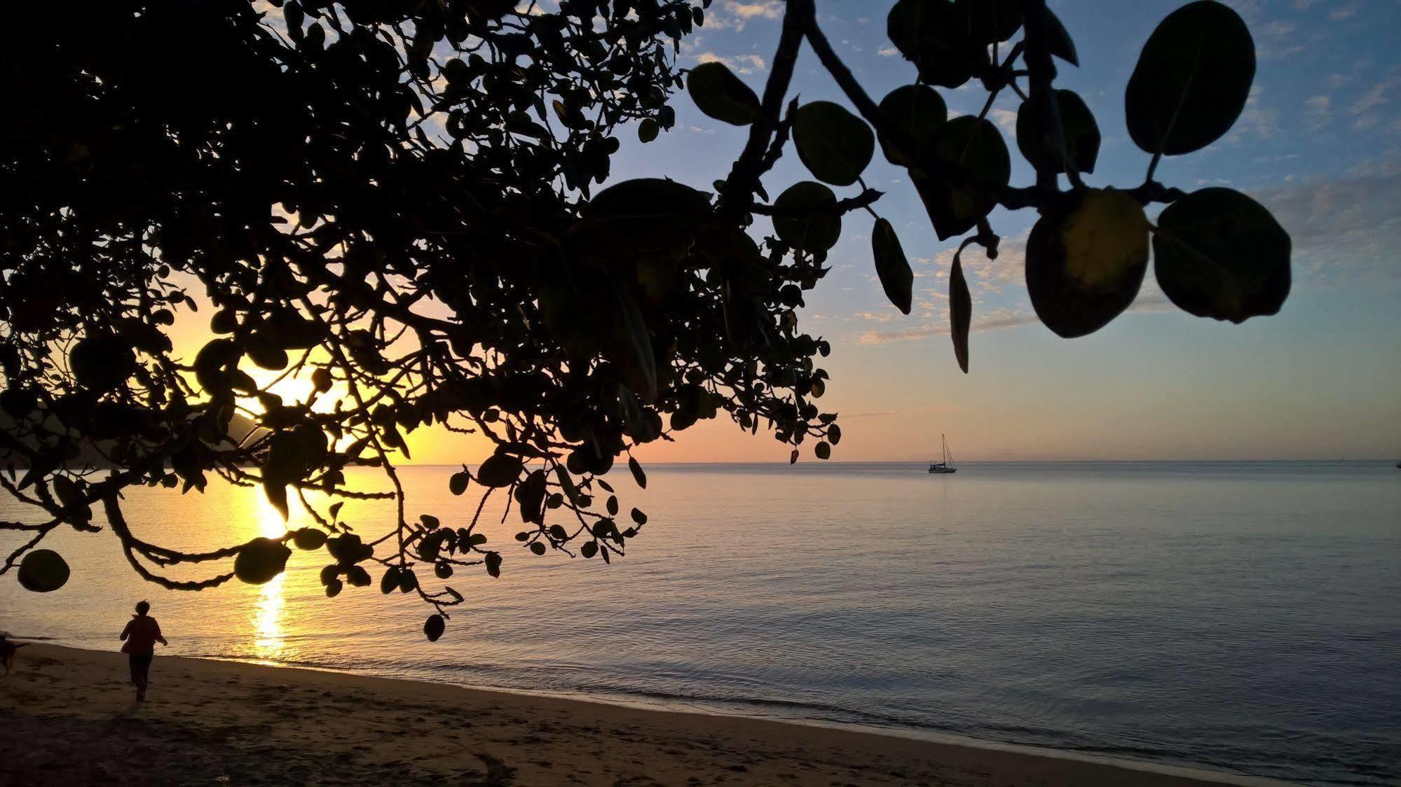 Magnetic Island Bed And Breakfast Horseshoe Bay Bagian luar foto