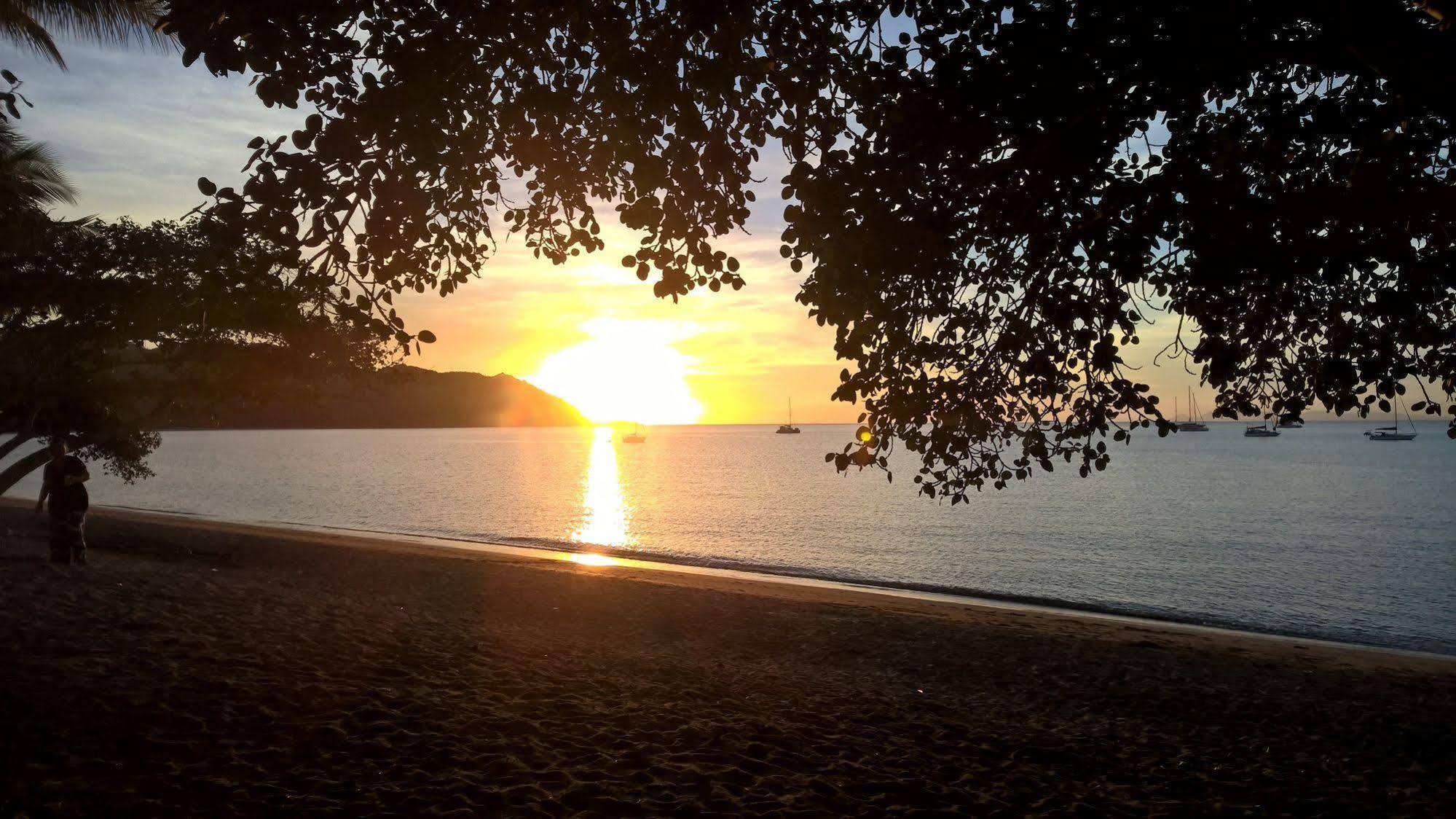 Magnetic Island Bed And Breakfast Horseshoe Bay Bagian luar foto