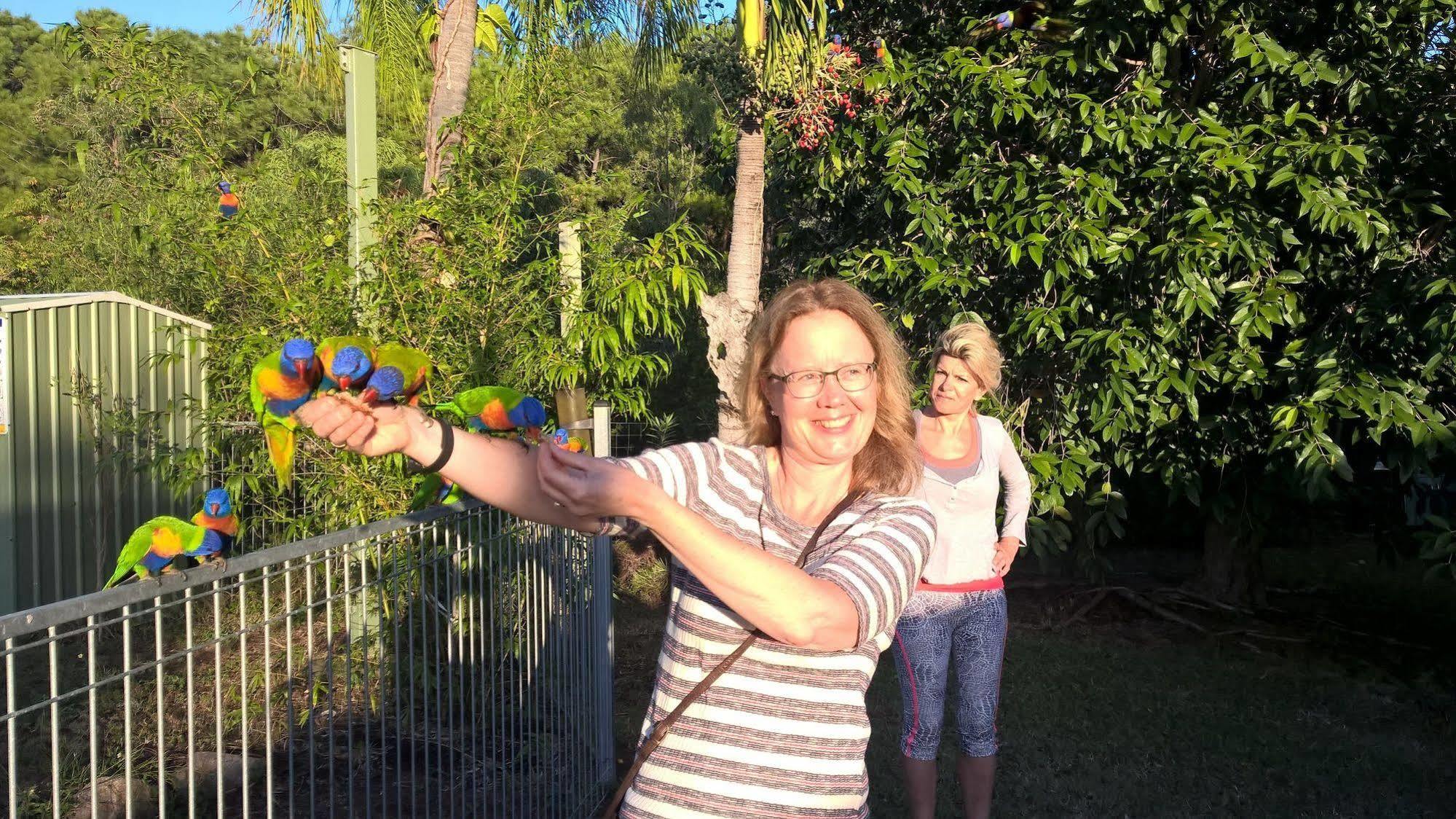 Magnetic Island Bed And Breakfast Horseshoe Bay Bagian luar foto