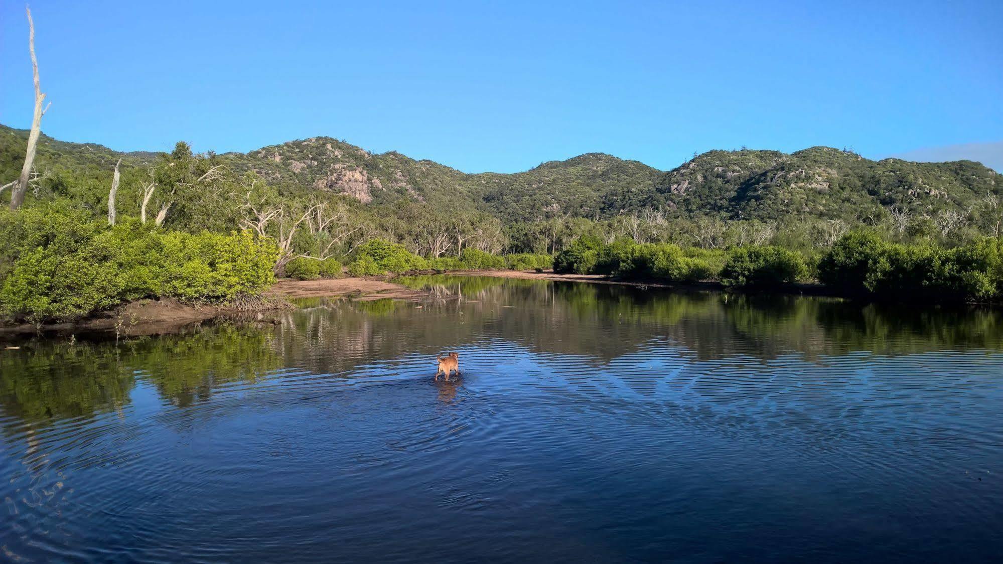 Magnetic Island Bed And Breakfast Horseshoe Bay Bagian luar foto